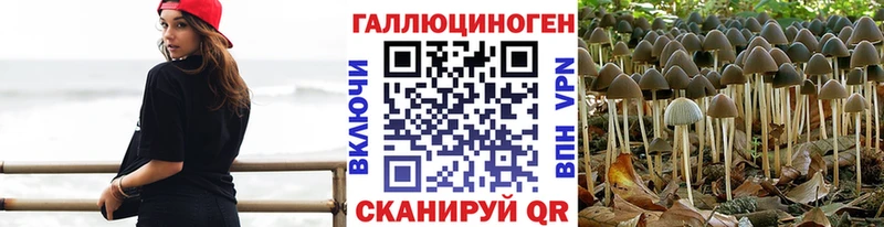купить наркотик  Биробиджан  Галлюциногенные грибы мухоморы 